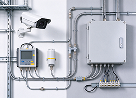 New Energy Electrica